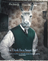 The New York Times Magazine