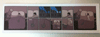 Building Stories Promotional Booklet